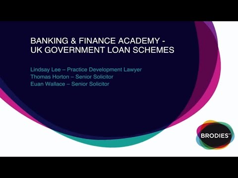 Banking & Finance Academy   UK Government loan schemes