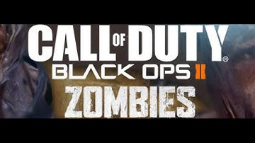 Black Ops 2 - ZOMBIES Game Modes Explained & NEW RANKING System! (Call of Duty: BO2 Tranzit)