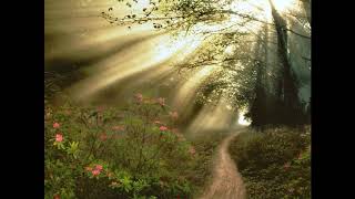 Chan Pa Were By King J.j Adhola Music