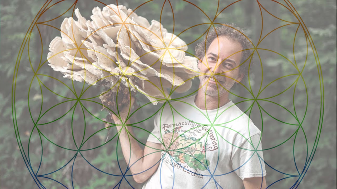 Let's go Foraging with Alan Muskat!