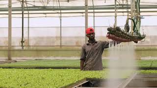Building Water Resilience: How Dams Secure the Future at Fazenda Girassol