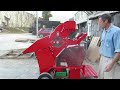Cicoria PLOT 2375 Thresher - shelling beans