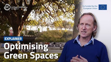 How can green spaces create healthier cities & improve mental health? | With Mark Nieuwenhuijsen
