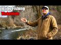Angler Learns He Can't Fish for Steelhead in His Backyard