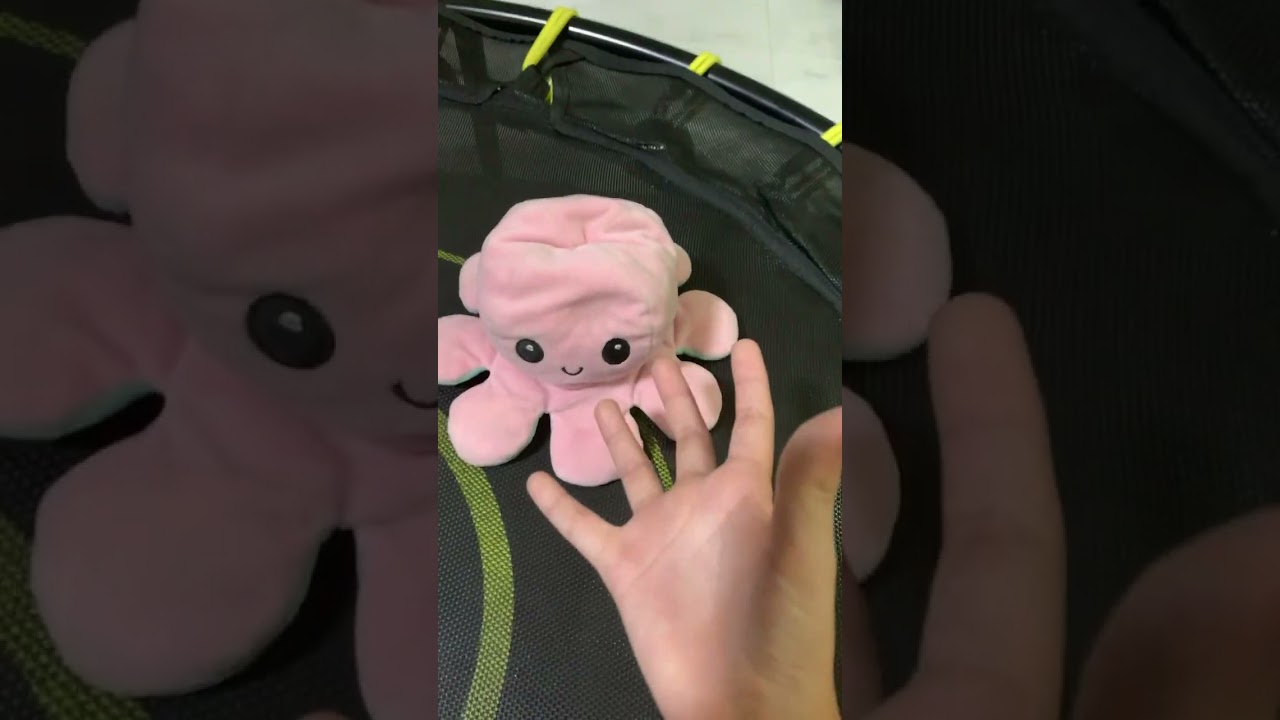 My lollipop bad Alan 