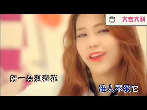 圣诞快乐 新年必听 迎春花 卓依婷演唱 祝大家兔年大吉万事如意