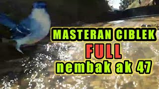 Masteran ciblek FULL tembakan ak 47 plus terapi ciblek suara air.