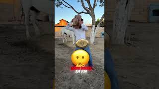 Kemerle Dalga Geçen Eski Arkadaşını Susturan Adam Herkesi Şok Etti