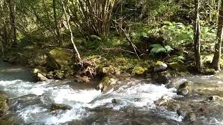 cascadas río Aldano