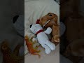 Babylullaby #soft toys #happysleep