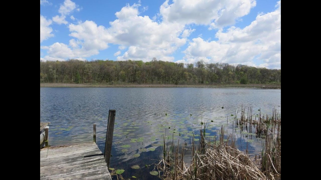 66960 CARTER LAKE DR Jones, MI Homes for Sale YouTube