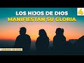 Los hijos de Dios manifiestan su Gloria 4