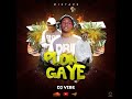 Mixtape raboday plon gaye by dj vibe