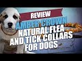 Amber Crown Natural Flea and Tick Collars for Dogs Review
