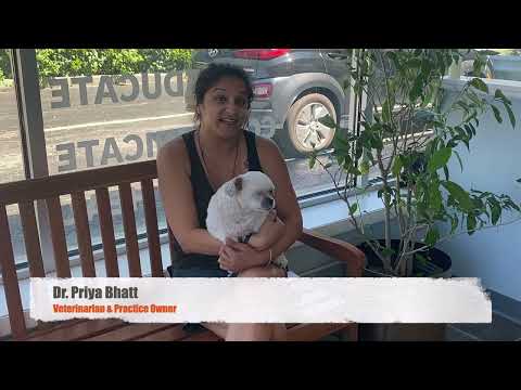 Meet The Arya Animal Acupuncture Veterinary Team