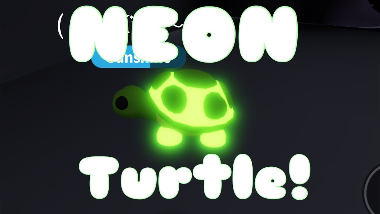 What I Traded For A Neon Turtle Adopt Me - adopt me making a neon parrotroblox watchs