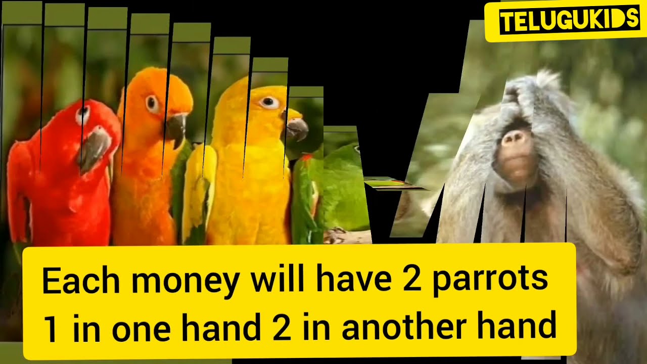 1 rabbit saw 9 elephants puzzle,1 rabbit saw 9 elephants