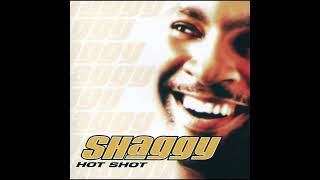 Shaggy / Ricardo Ducent - It Wasn’t Me (Clean Radio Edit)