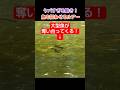 大型魚を狂わせるこのルアーがヤバすぎる！#エリアトラウト #fishing #管理釣り場 #釣り