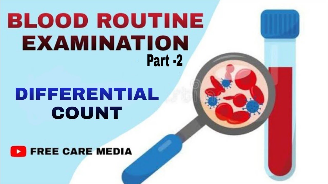 Blood Routine Examination In Malayalam Part 2 Differential Count YouTube cara-menghitung-berat-h-beam-by-mutandim-huda-there-was-a-question