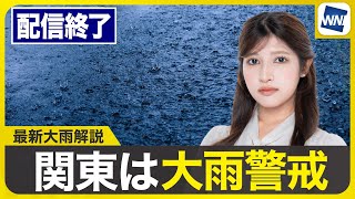 ウェザーニュースの配信のサムネイル画像