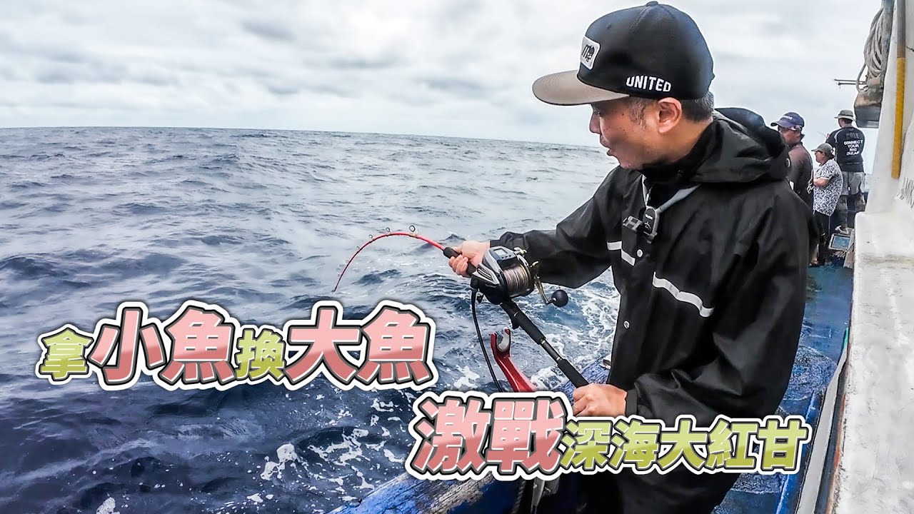 【台客去船釣】脫鉤斷線不計其數！用萬能鯖魚餌在滿滿的白帶舅中找紅甘！feat.錦豐順6號娛樂海釣船