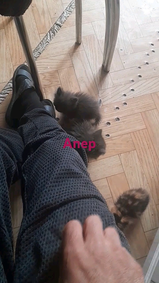 АПЕР - YouTube