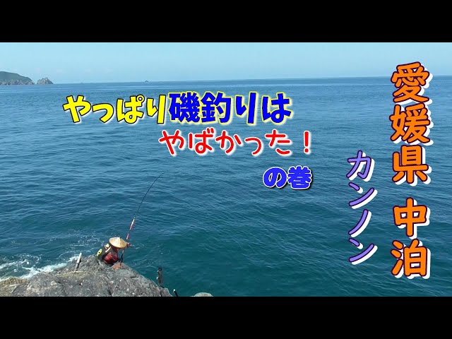 Nakadomari, Ehime Prefecture: Kannon - Shore fishing is just as