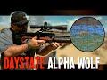 Can you hunt snakes with a daystate alpha wolf airgun