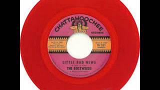 The Bostweeds - Little Bad News