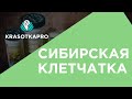 Сибирская клетчатка — продукты для красоты и хорошего самочувствия