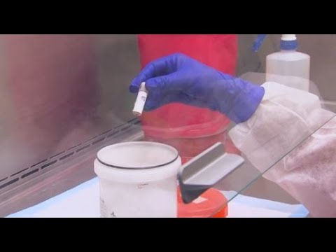 ბოლო 24 საათში საქართველოში კორონავირუსით ინფიცირებულთა რაოდნეობა 14-ით გაიზარდა