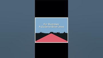 Silver Jews For Dummies: A Guide Into the Jewniverse #music #silverjews #song #viralvideo