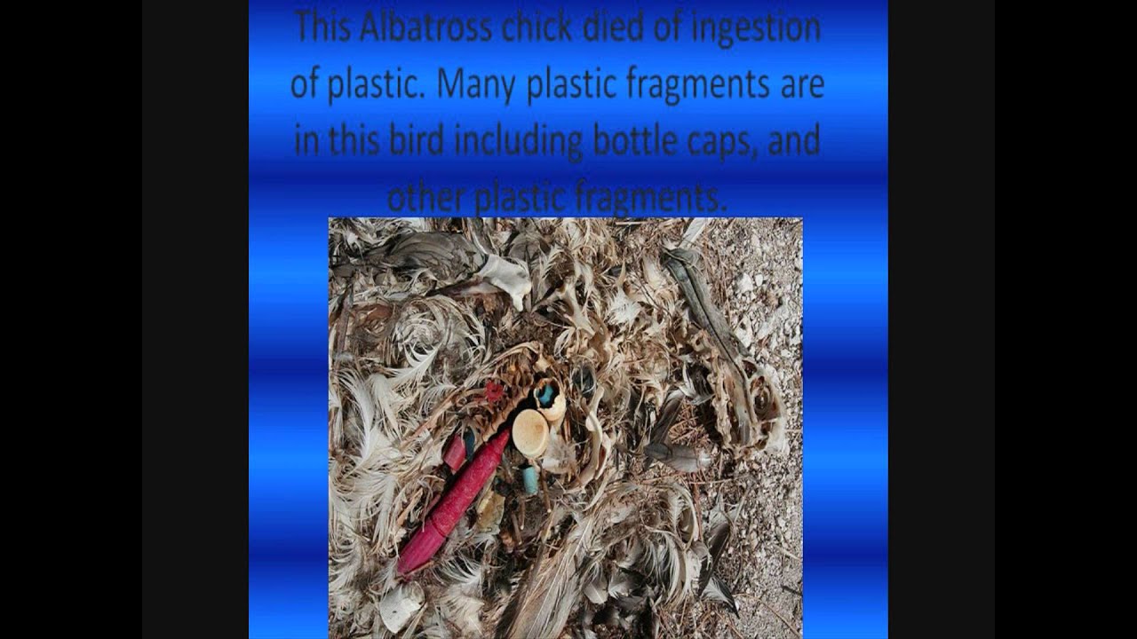 PLASTIC OCEAN PROJECT