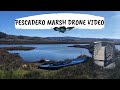 Pescadero Marsh Drone Video - Beautiful Nature Drone Video