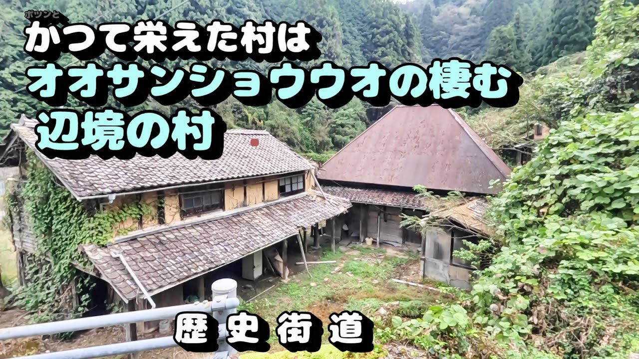 まーさんの村 The once prosperous village is now home to giant salamanders - YouTube