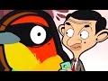 MONEY MAKING BIRD! 🐦 💴 | MR BEAN | WildBrain Kids