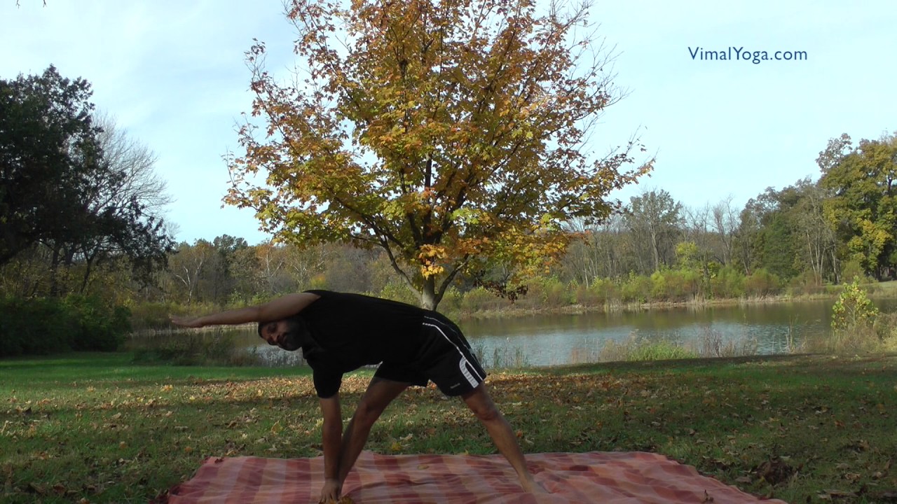 Konasana gitano garden of love