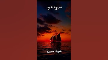 من سورة هود بصوت جميل جدا #اكسبلور #خاشعة_تلاوة #راحة_نفسية #قراء_القرآن_الكريم #لايك #خاشعة_مبكية