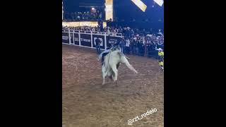 Cássio Dias Barbosa Rodeio De Americana 2023