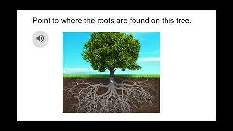 L3 - Parts of a Plant - Google Slides Worksheets