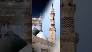 قصیدہ بردہ شریف ❤️ ماشاءاللہ 🌹#kaseedaburda #muhammad #love