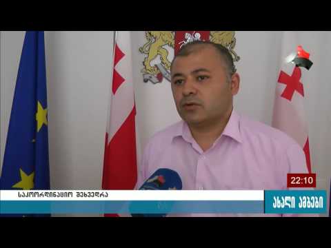 საკონსულტაციო საბჭოზე ენერგეტიკის მიმართულებით განხორციელებულ პროექტებზე იმსჯელეს