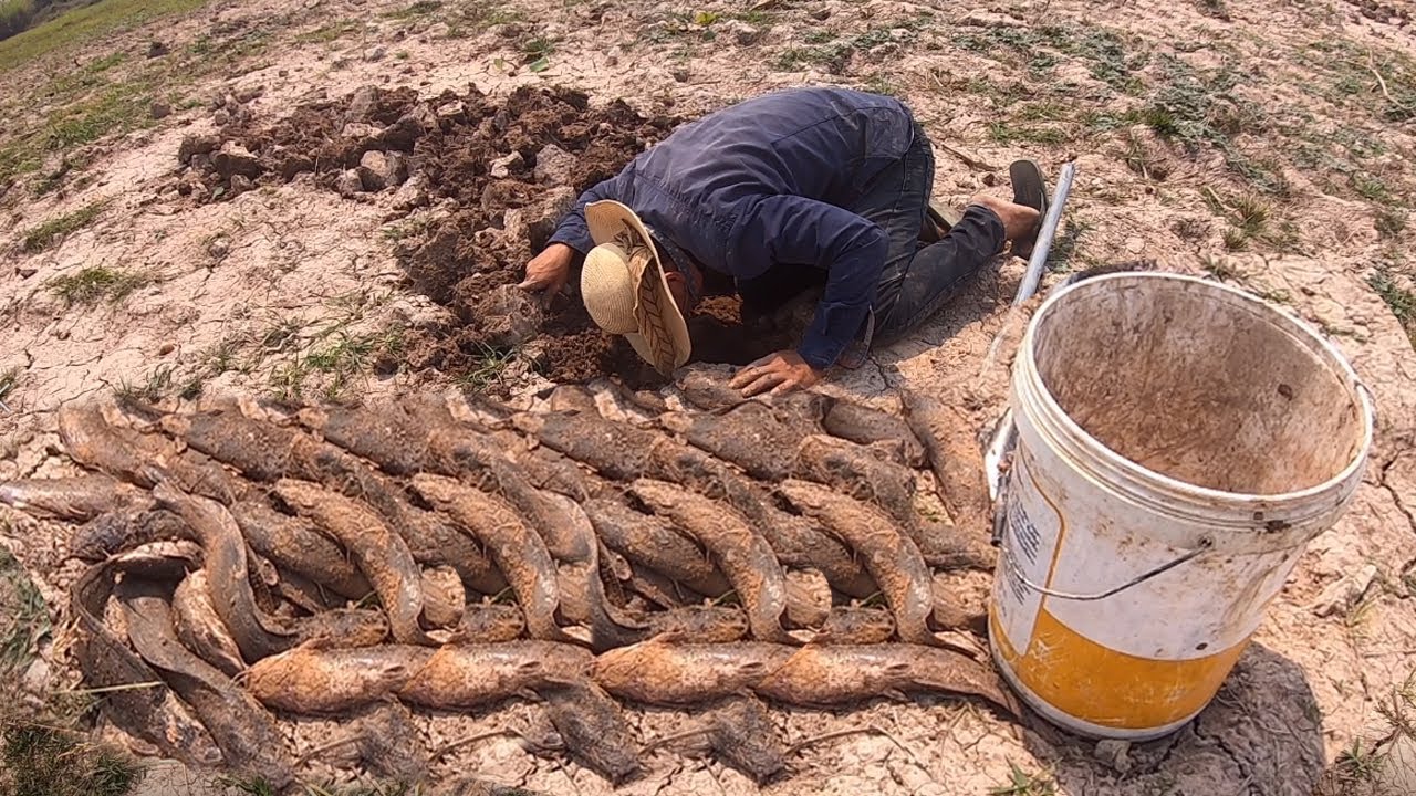 Top 5 of Dry Season Catch Fish From Underground Secret Hole - YouTube