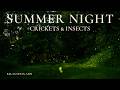 Summer Night Sounds ASMR | Crickets, Frogs &amp; Insects | Black Screen | 12 Hours