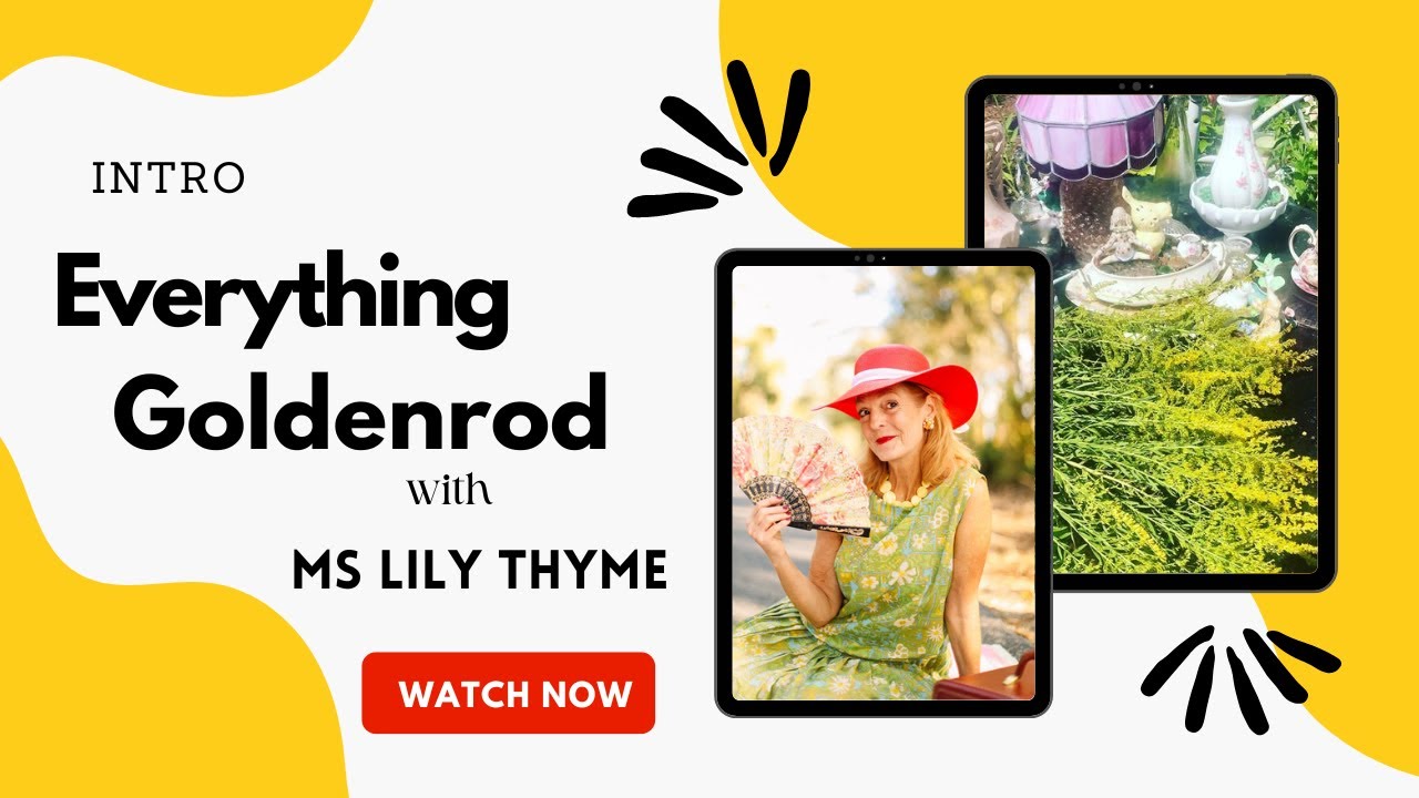 Intro to Everything Goldenrod 6Part Series YouTube