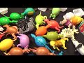 【面白雑貨】恐竜タマゴ 変身 変形 ダイナソー エッグ 色々 珍しい 骸骨 ガイコツ フィギュア パズル おもちゃ 玩具 楽しい タマゴラス egg puzzle toy dinosaur ブラゼ