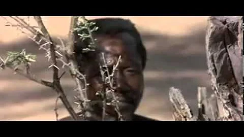 How to find water in african desert...superb...!