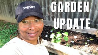 Planting Seeds and Watching Them Grow | Spring Blossom | Vegetable Garden | Flower Beds