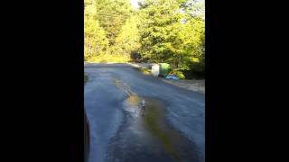 Chlorine And Brake Fluid